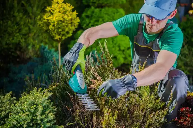 landscaping services Wood Heights